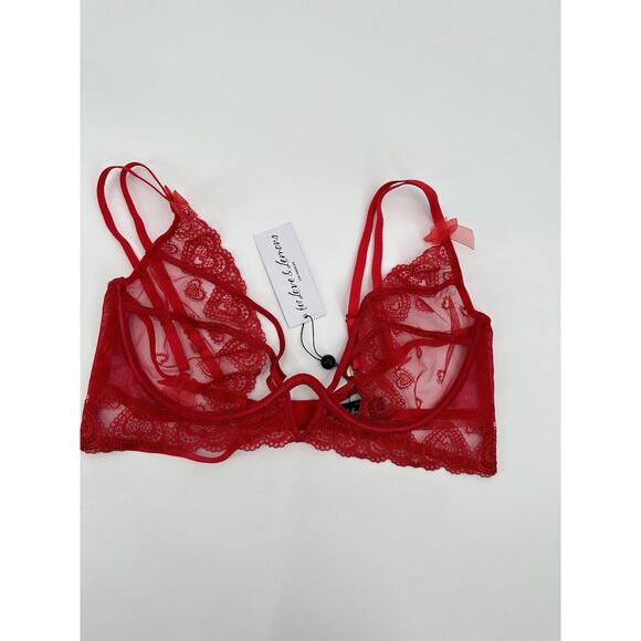 For Love & Lemons Red Lace Heart Embroidery Bra & Thong Panty Set Size XL/L NWT - Picture 5 of 11